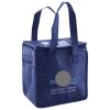Lunch Tote  Insulated Thumbnail