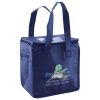Lunch Tote  Insulated Thumbnail