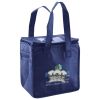Lunch Tote  Insulated Thumbnail