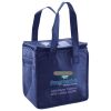 Lunch Tote  Insulated Thumbnail