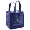 Lunch Tote  Insulated Thumbnail