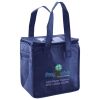 Lunch Tote  Insulated Thumbnail