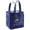 Lunch Tote  Insulated Thumbnail