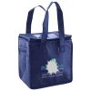 Lunch Tote  Insulated Thumbnail
