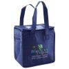 Lunch Tote  Insulated Thumbnail