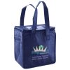 Lunch Tote  Insulated Thumbnail