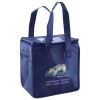 Lunch Tote  Insulated Thumbnail