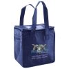 Lunch Tote  Insulated Thumbnail