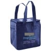 Lunch Tote  Insulated Thumbnail