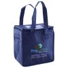 Lunch Tote  Insulated Thumbnail