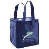 Lunch Tote  Insulated Thumbnail