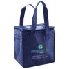 Lunch Tote  Insulated Thumbnail