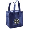 Lunch Tote  Insulated Thumbnail
