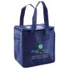 Lunch Tote  Insulated Thumbnail