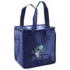 Lunch Tote  Insulated Thumbnail