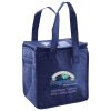Lunch Tote  Insulated Thumbnail