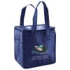 Lunch Tote  Insulated Thumbnail