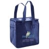 Lunch Tote  Insulated Thumbnail