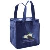 Lunch Tote  Insulated Thumbnail