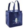 Lunch Tote  Insulated Thumbnail