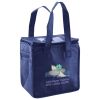 Lunch Tote  Insulated Thumbnail