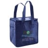 Lunch Tote  Insulated Thumbnail