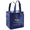 Lunch Tote  Insulated Thumbnail