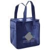 Lunch Tote  Insulated Thumbnail