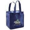 Lunch Tote  Insulated Thumbnail