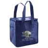 Lunch Tote  Insulated Thumbnail