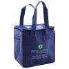 Lunch Tote  Insulated Thumbnail