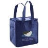 Lunch Tote  Insulated Thumbnail