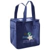 Lunch Tote  Insulated Thumbnail