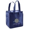 Lunch Tote  Insulated Thumbnail