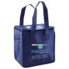 Lunch Tote  Insulated Thumbnail