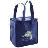 Lunch Tote  Insulated Thumbnail
