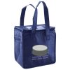 Lunch Tote  Insulated Thumbnail