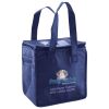 Lunch Tote  Insulated Thumbnail
