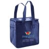 Lunch Tote  Insulated Thumbnail