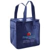 Lunch Tote  Insulated Thumbnail