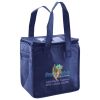 Lunch Tote  Insulated Thumbnail