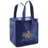 Lunch Tote  Insulated Thumbnail