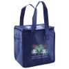 Lunch Tote  Insulated Thumbnail
