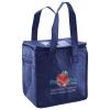 Lunch Tote  Insulated Thumbnail