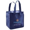Lunch Tote  Insulated Thumbnail