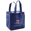 Lunch Tote  Insulated Thumbnail