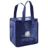 Lunch Tote  Insulated Thumbnail