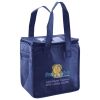 Lunch Tote  Insulated Thumbnail