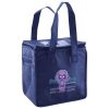 Lunch Tote  Insulated Thumbnail