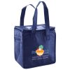 Lunch Tote  Insulated Thumbnail